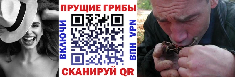 Псилоцибиновые грибы ЛСД  МЕГА ТОР  Дальнереченск 