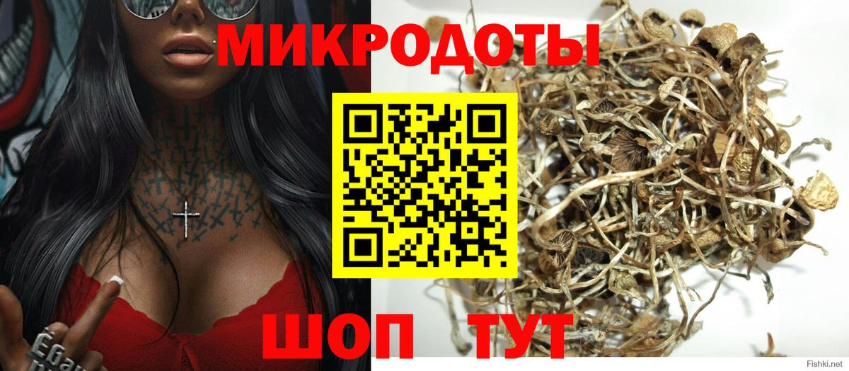 Псилоцибиновые грибы GOLDEN TEACHER Дальнереченск