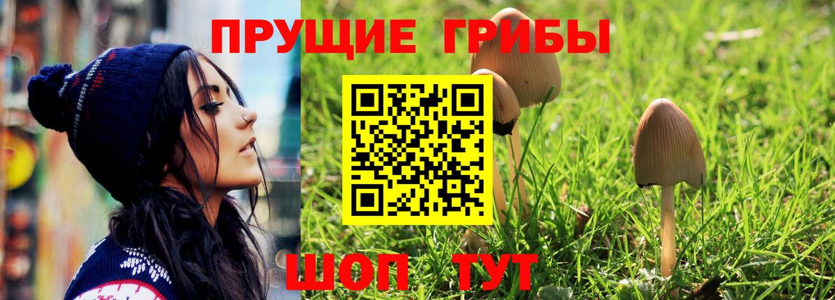 Дальнереченск  Галлюциногенные грибы прущие грибы  Вход с VPN 