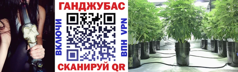 Конопля Amnesia  кракен как войти  Дальнереченск 